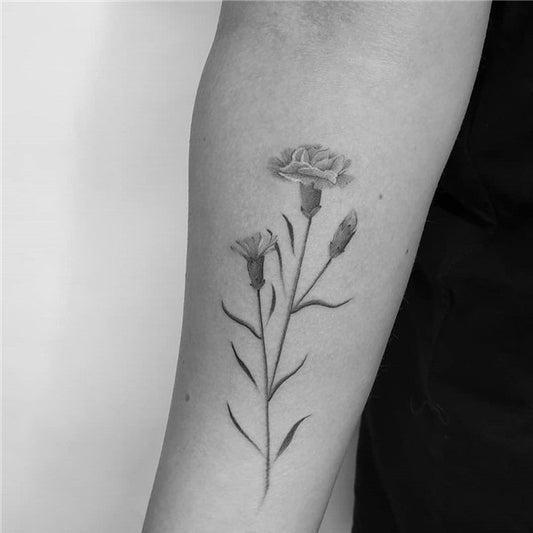 Carnation Tattoo Outline Vector Images (53)