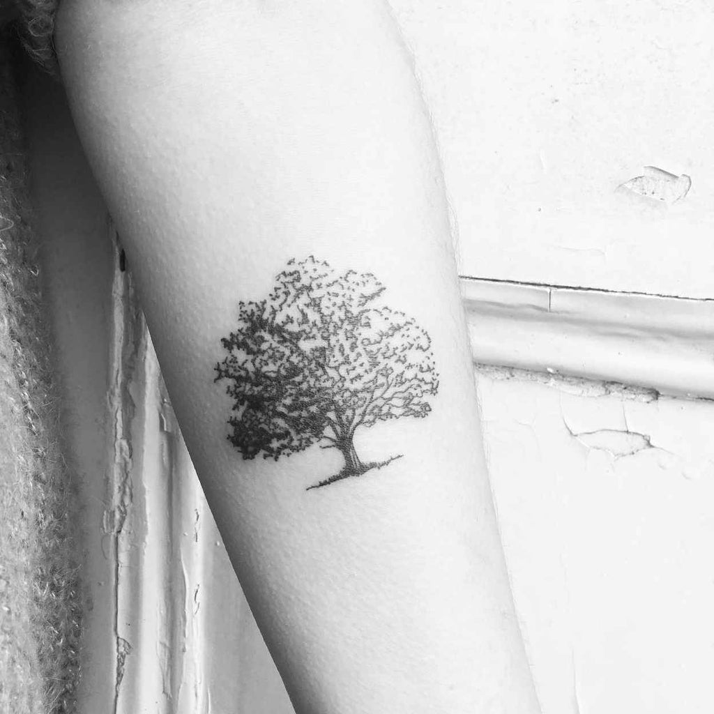 Minimalist Olive Branche Tattoo Design – Tattoos Wizard Designs