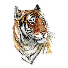 tiger-temporary-tattoos-tiger-004-HB-540X-2