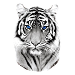 tiger-temporary-tattoos-tiger-009-TH-087X图