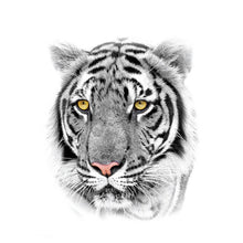 Load image into Gallery viewer, tiger-temporary-tattoos-tiger-011-TH-143X-1
