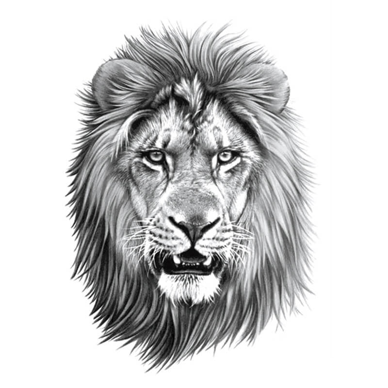 Simple Lion Head Tattoo