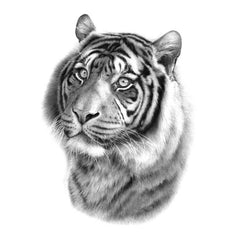 Traditional Black and White Tiger Head Temporary Tattoo