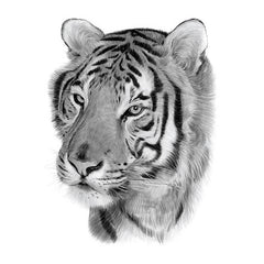 Black and White Japanese Tiger Tattoo